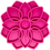 mandala sodapup rose