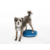 Fitpaws banace disc 22