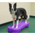 FITPAWS K9FITBONE giant violet