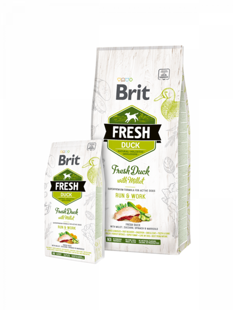 Brit_Fresh_duck_Run_Work