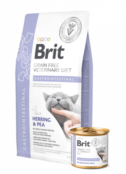 croquettes_chat_gastrointestinal-bit