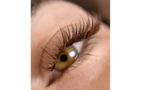 cils bruns