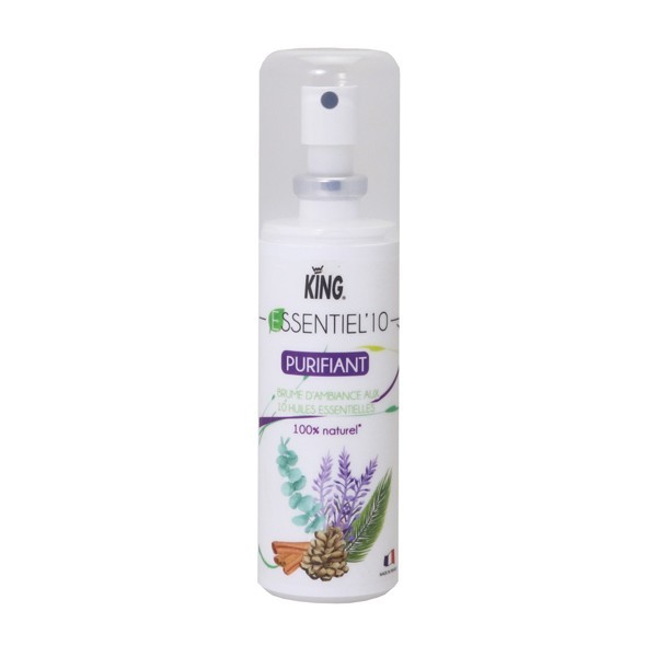 p00367-huiles-essentielles-10-purifiant-ecocert-100cc-king