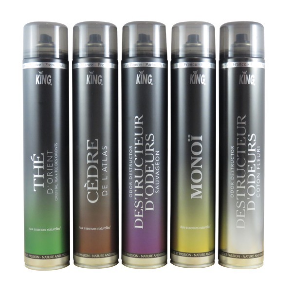 p01440-pack-desodorisant-750ml-king