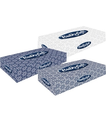 mouchoirs-blancs-2plis-bulkysoft-ecolabel-boite-de-100-