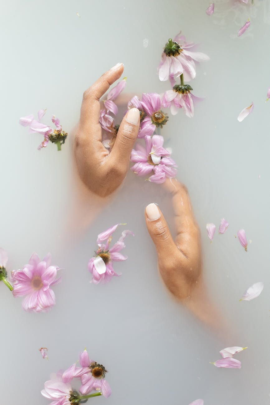 photos gratuites de a l interieur aromatique arome