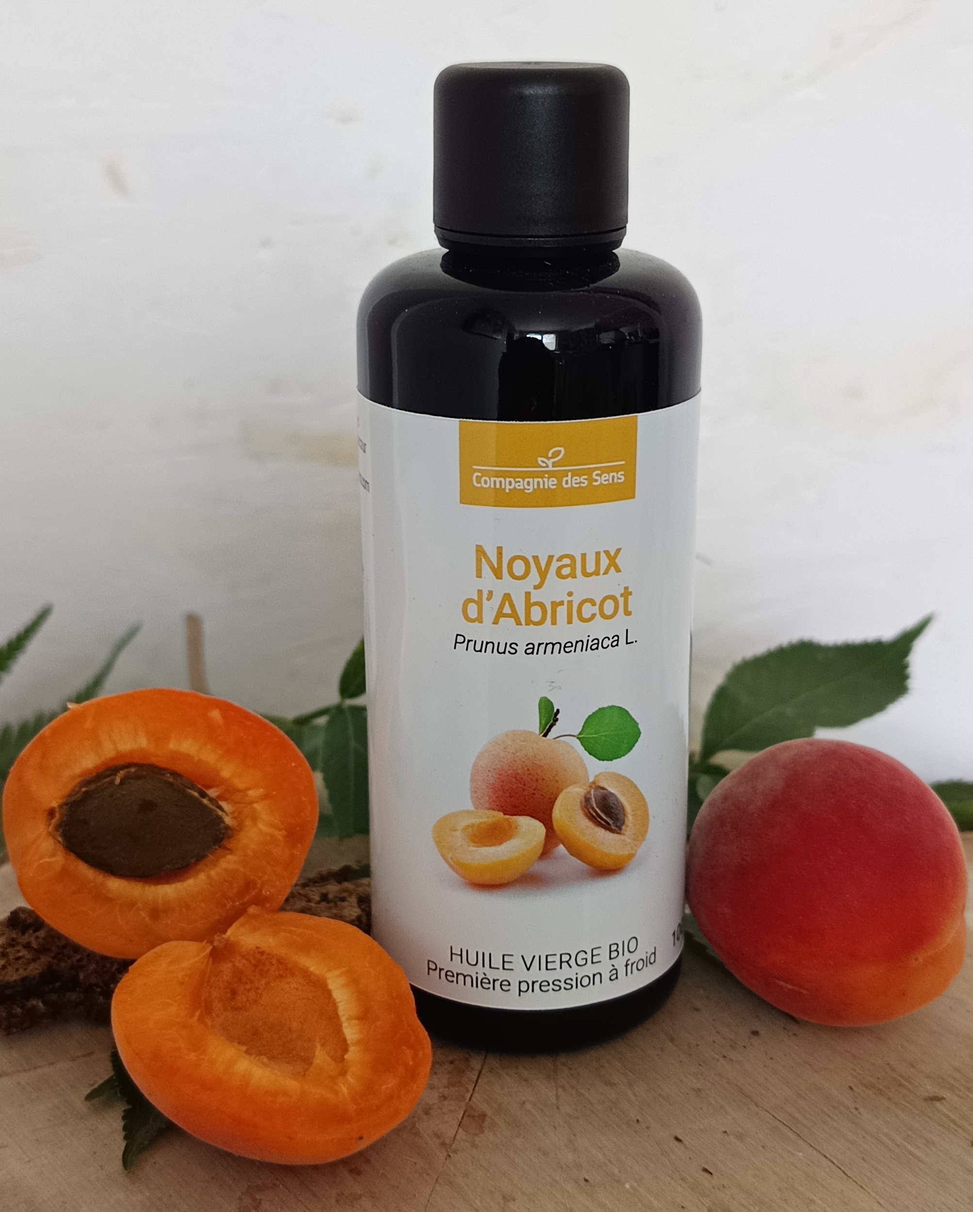 HVABR-01 - HV Noyau abricot