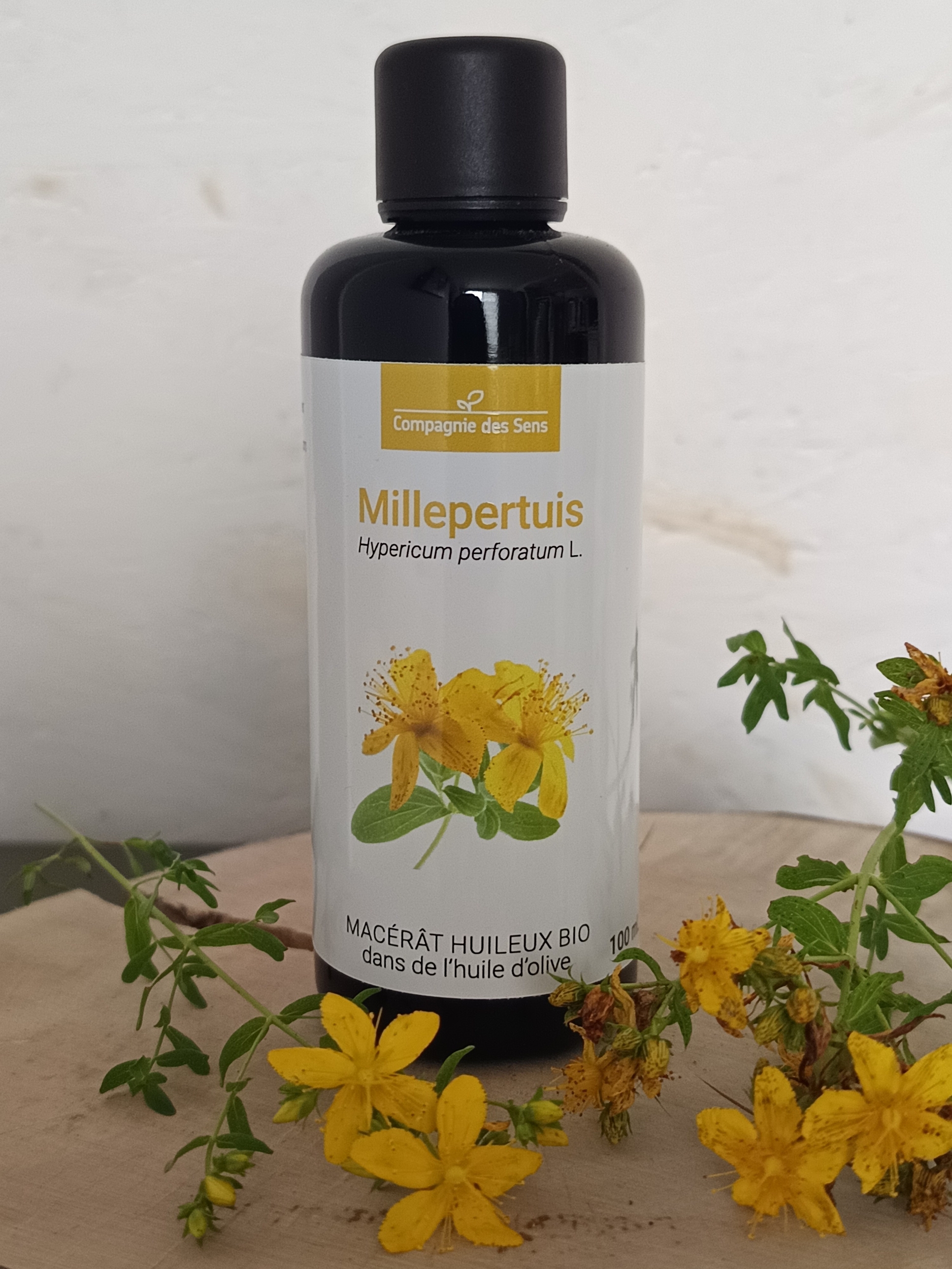 MACMIL-01 - Macerat Millepertuis