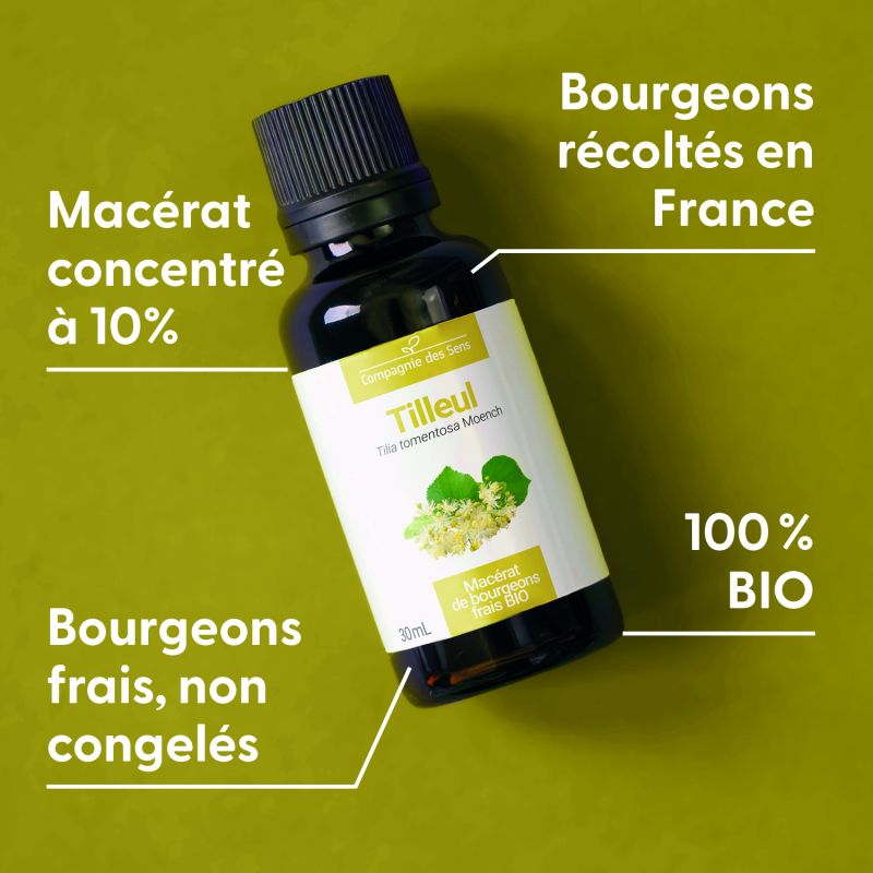 tilleul-macerat-de-bourgeons-bio (1)