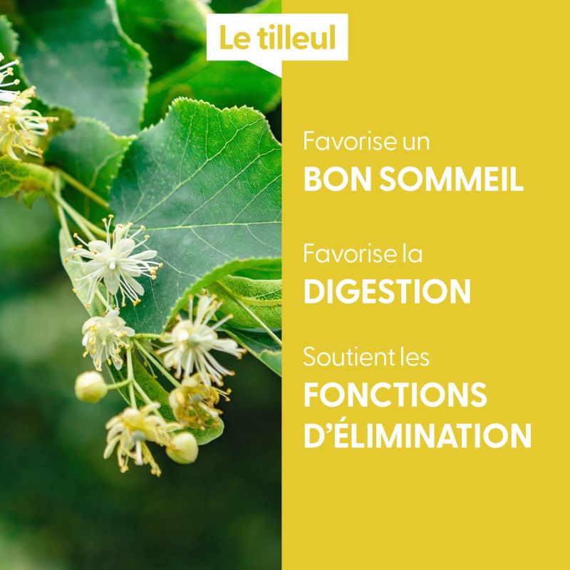 tilleul-macerat-de-bourgeons-bio (2)
