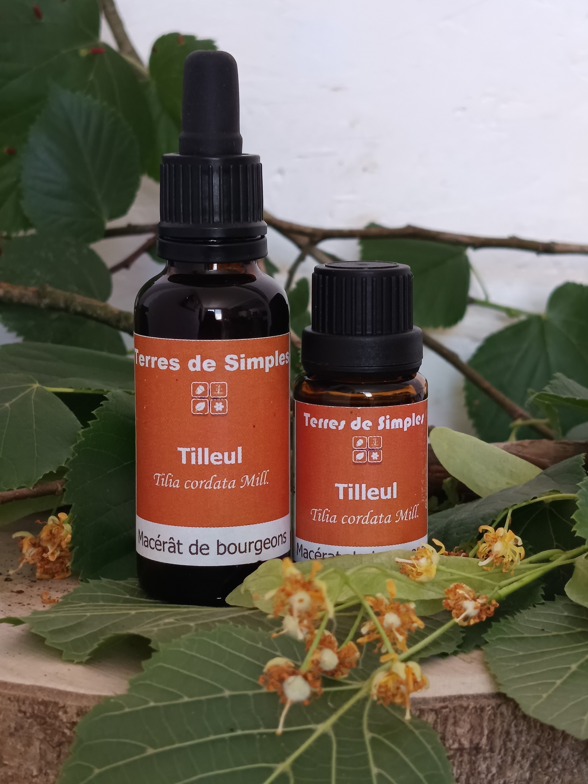 Gemmothérapie Tilleul