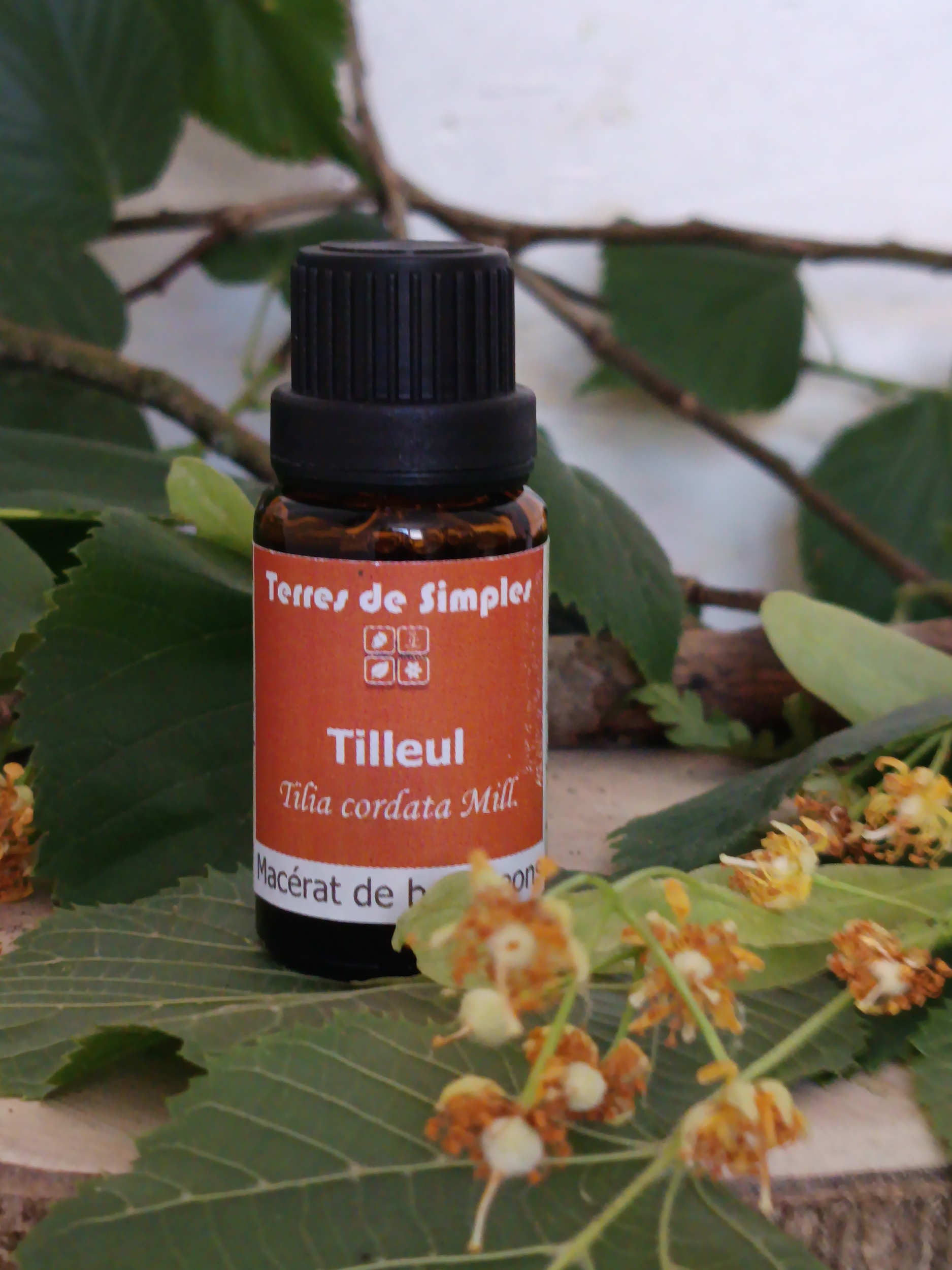 GEM26 - Gemmothérapie Tilleul 15 ml