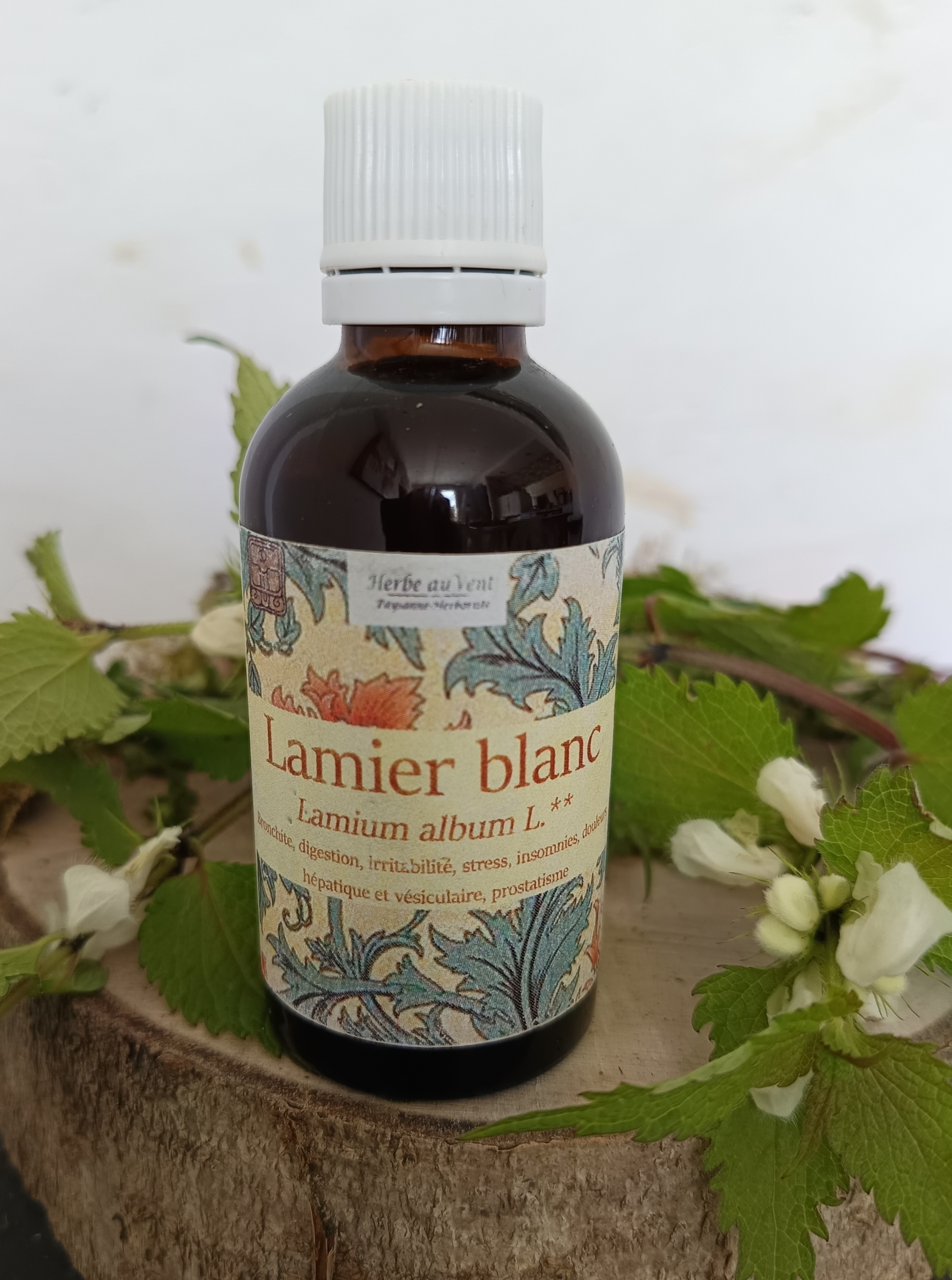 TMS40-01 - Teinture mère Lamier Blanc