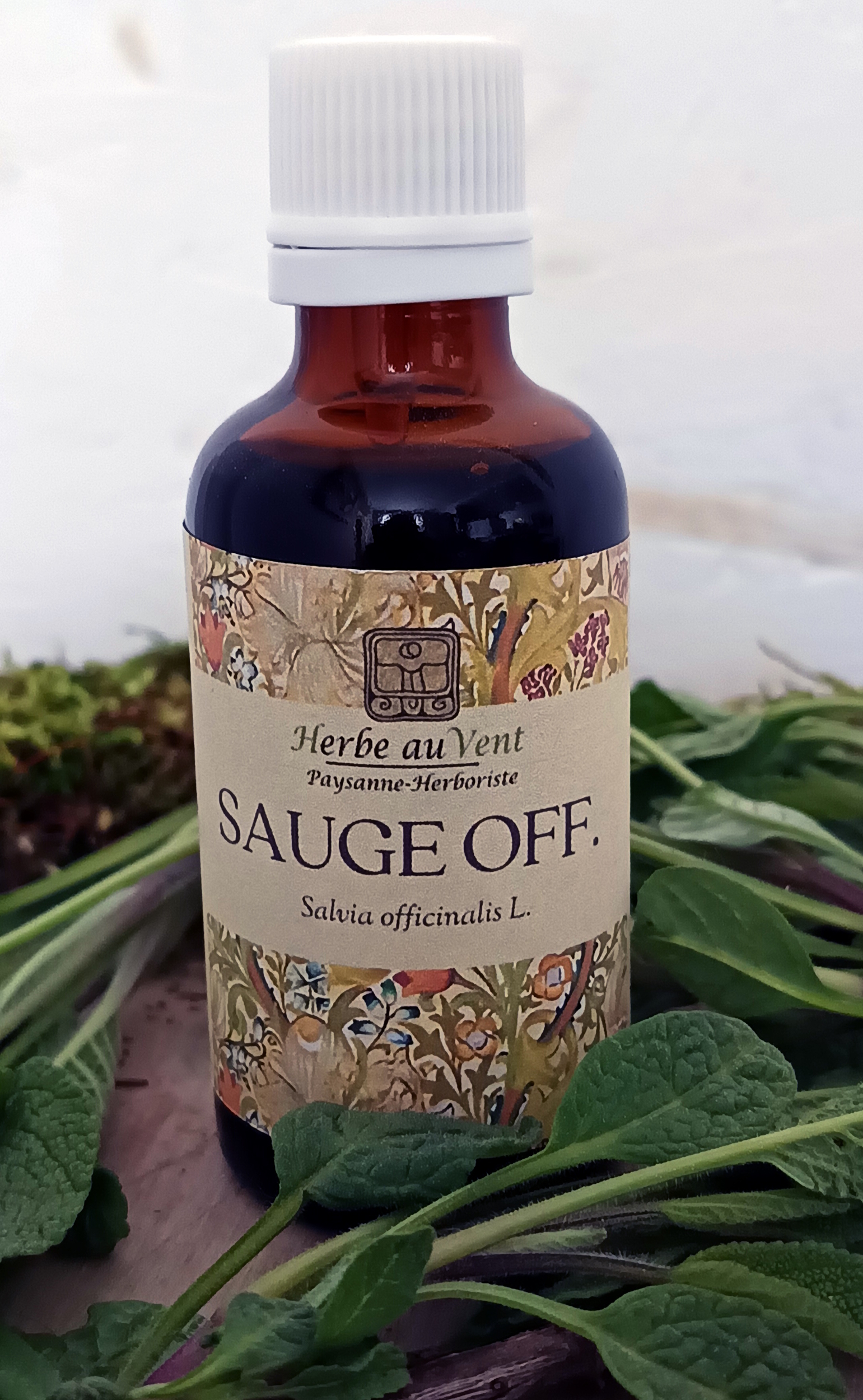 TMS60-01 - Teinture mère de Sauge Officinale