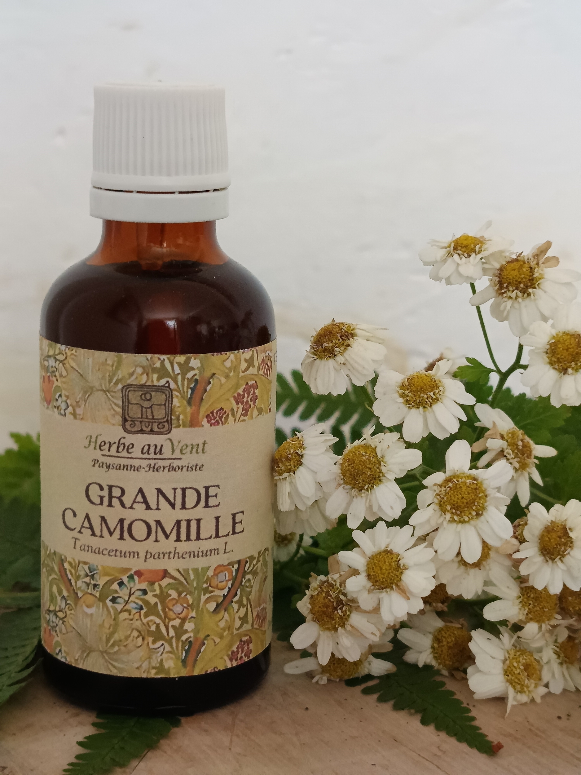 TMS36-01 - Teinture mère Grande Camomille