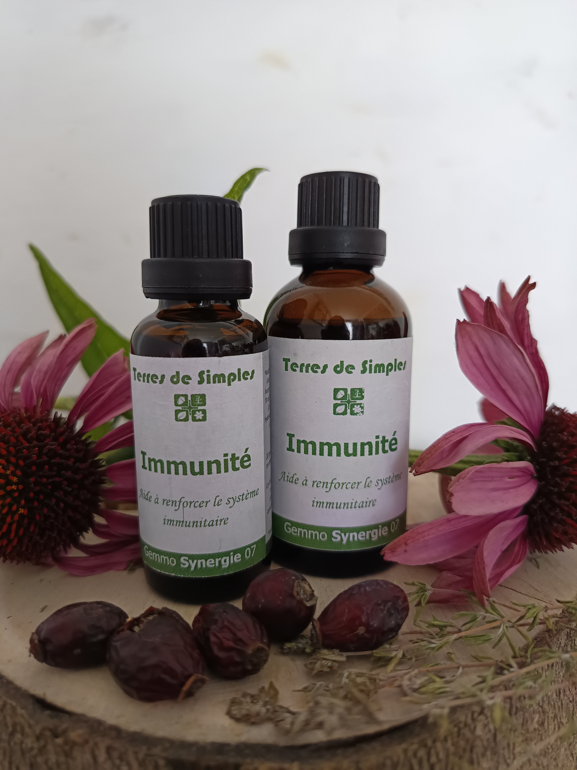 Complexes Immunité