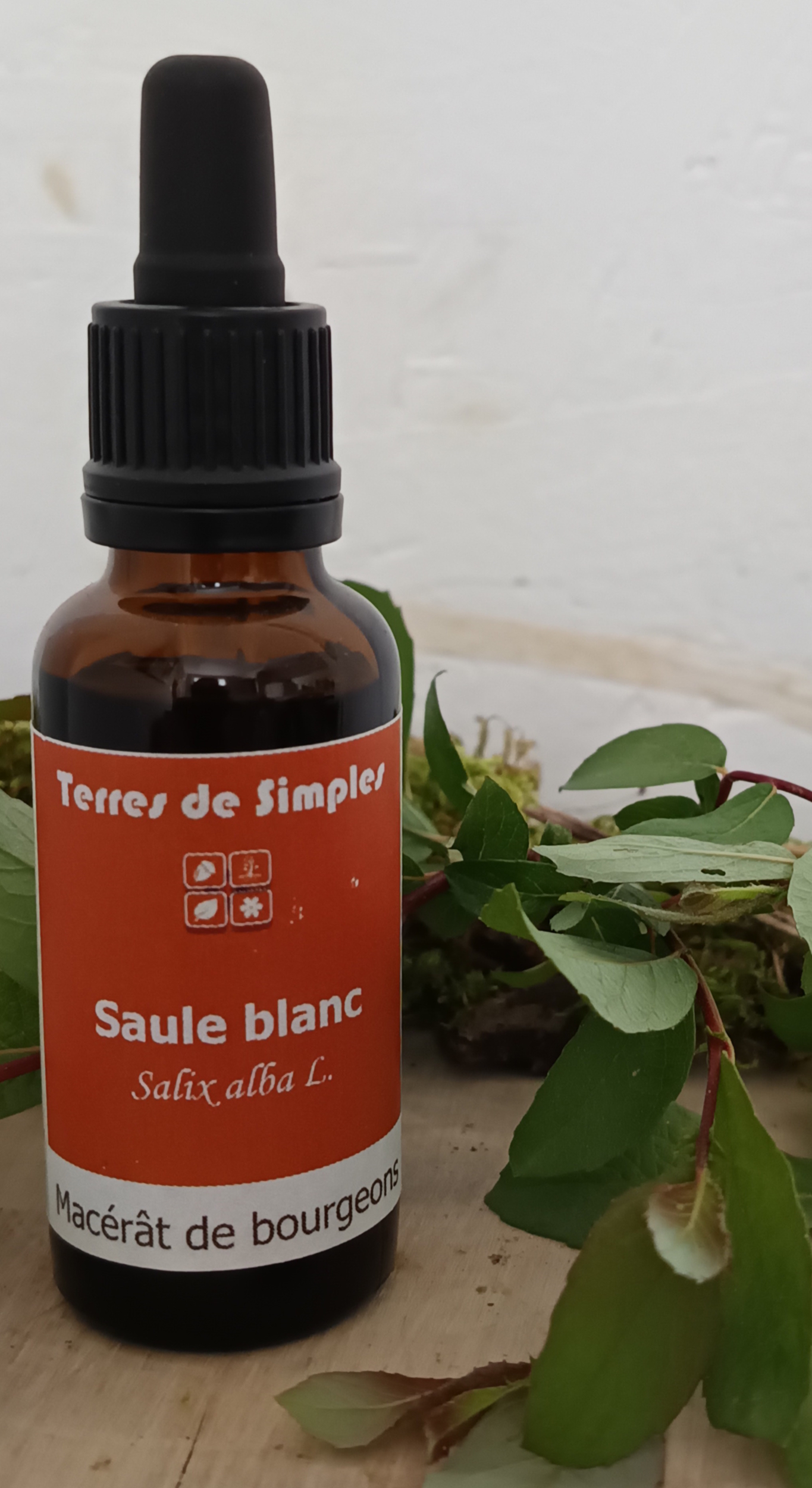GEM70 - Gemmothérapie Saule 30 ml