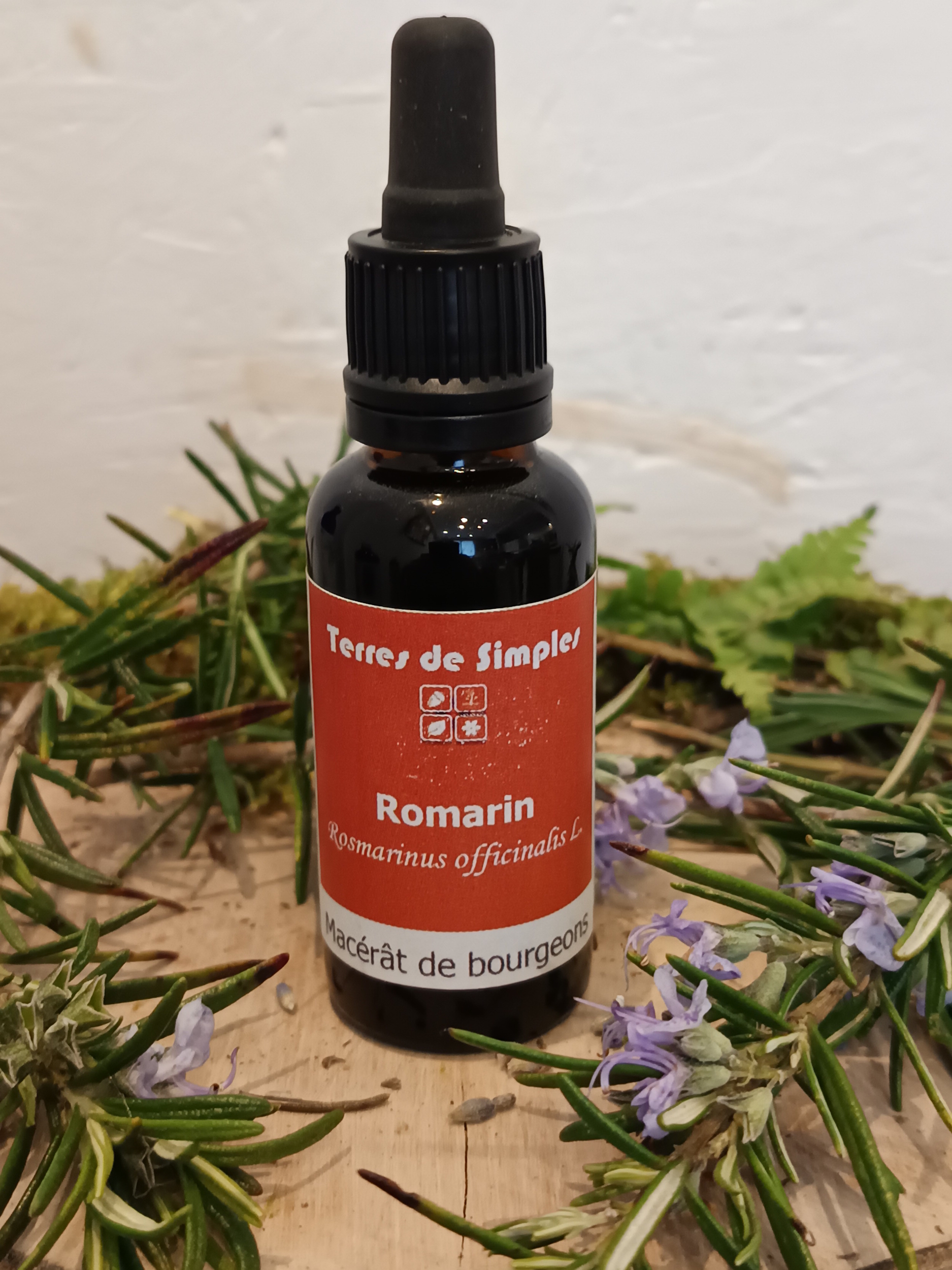 GEM67 - Gemmothérapie Romarin 30 ml