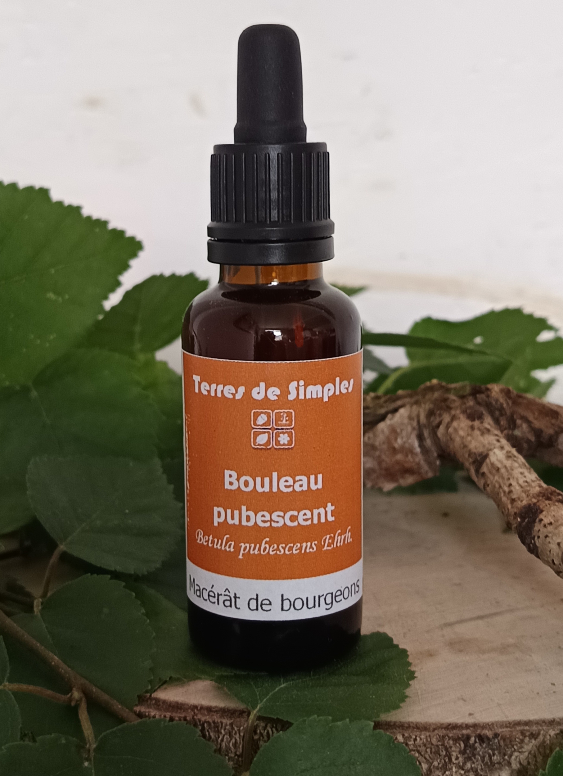 GEM33 - Gemmothérapie Bouleau Pubescent 30 ml