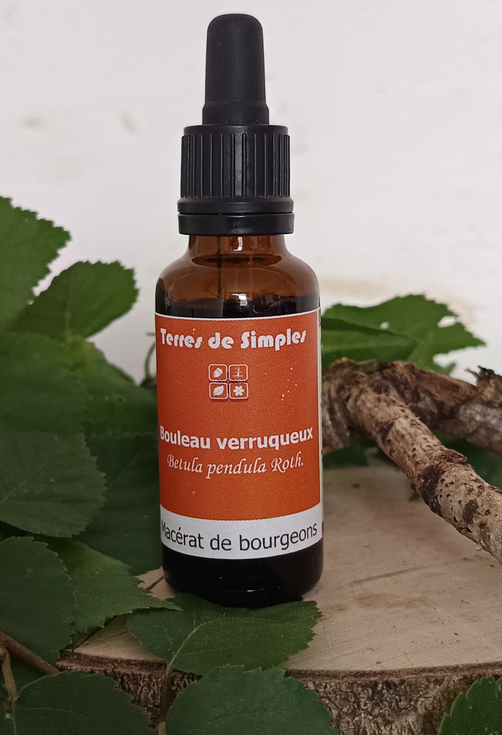 GEM34 - Gemmothérapie Bouleau Verruqueux 30 ml