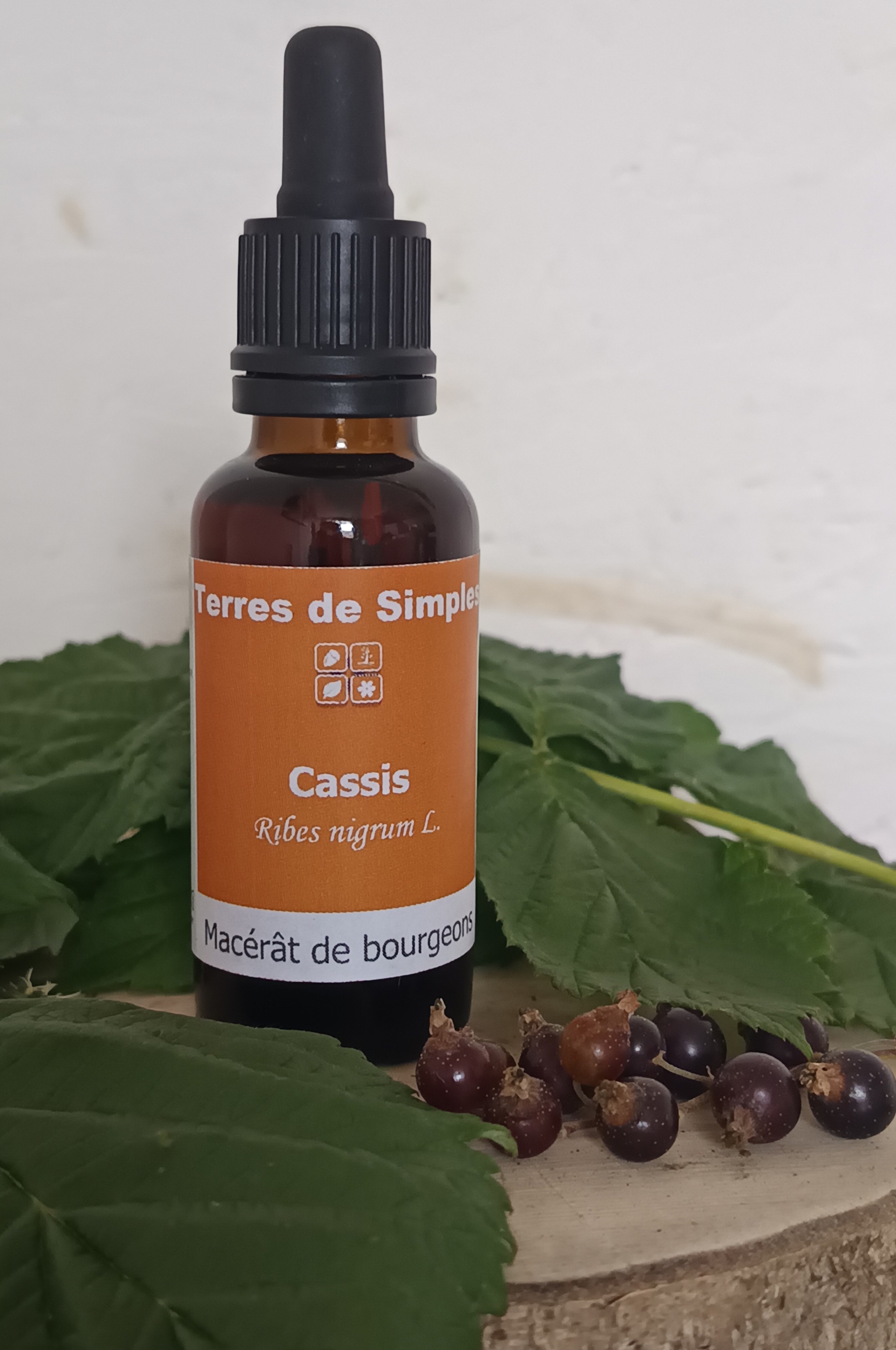 GEM36 - Gemmothérapie Cassis 30 ml