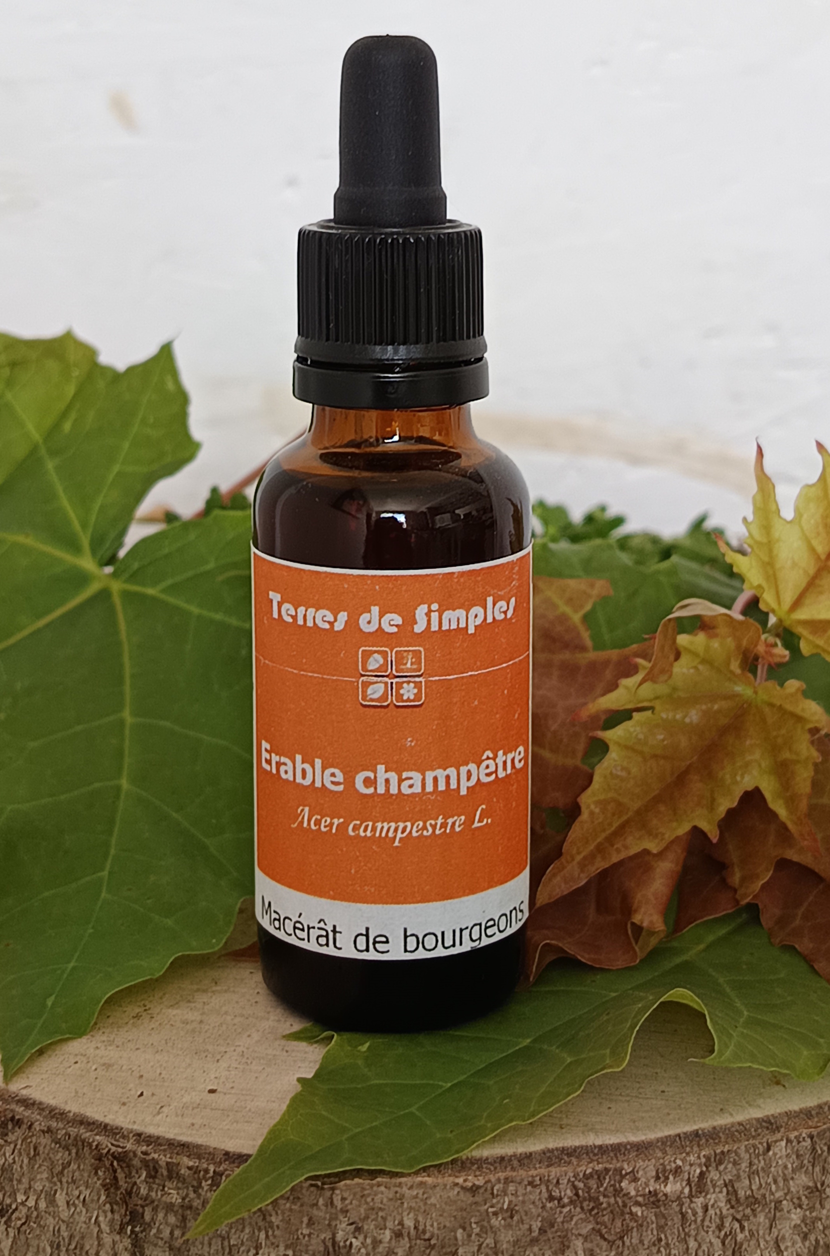 GEM42 - Gemmothérapie Erable 30 ml