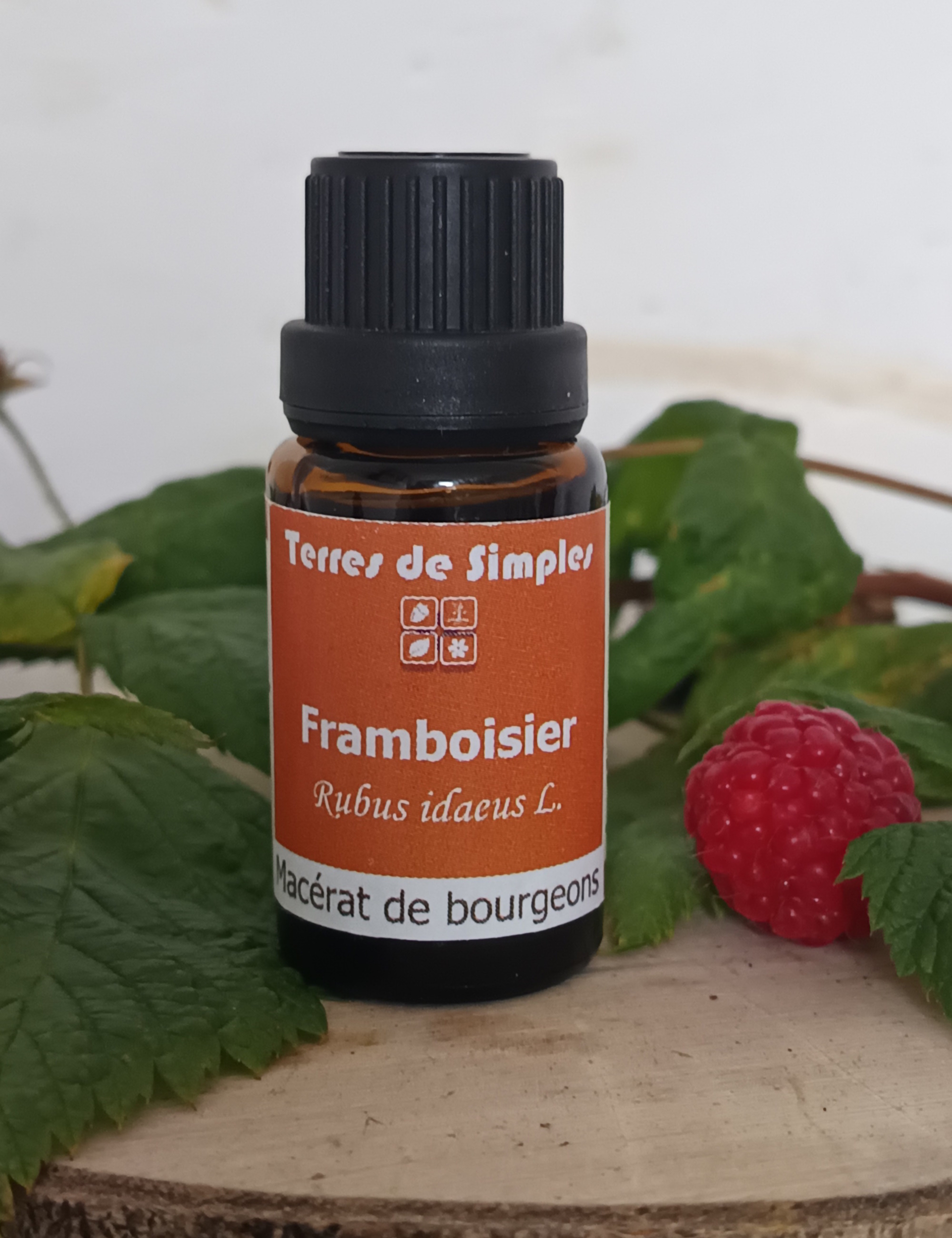 GEM10 - Gemmothérapie Framboisier 15 ml