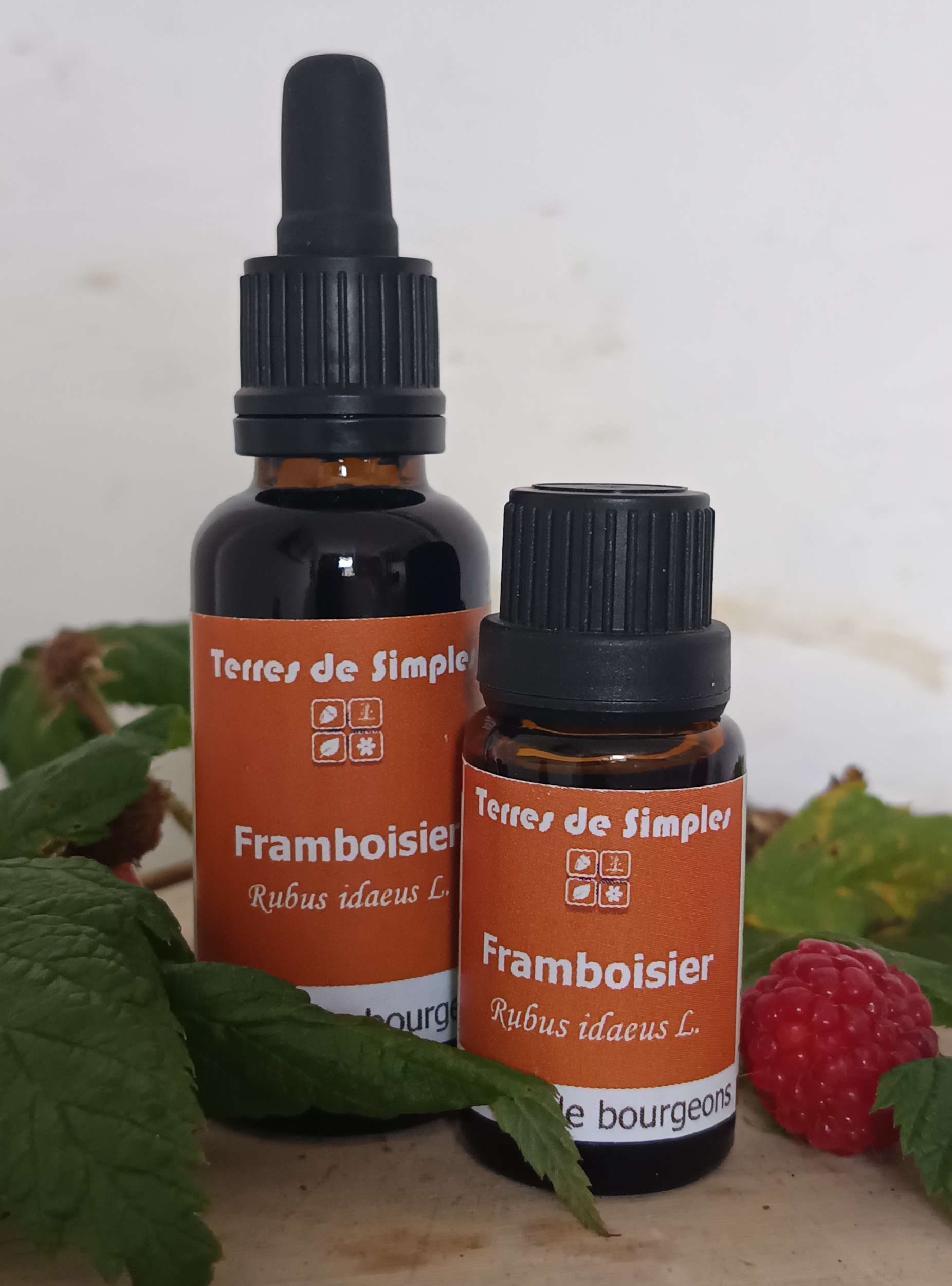 Gemmothérapie Framboisier