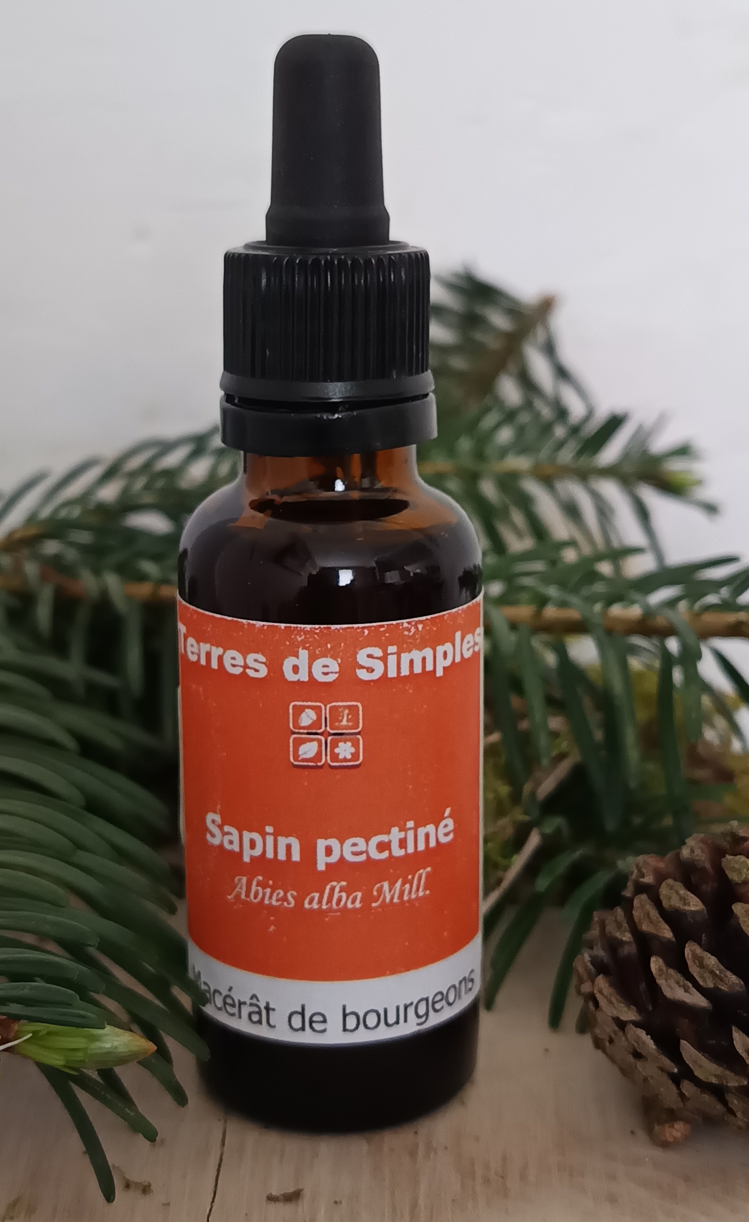 GEM71 - Gemmothérapie Sapin Pectiné 30 ml