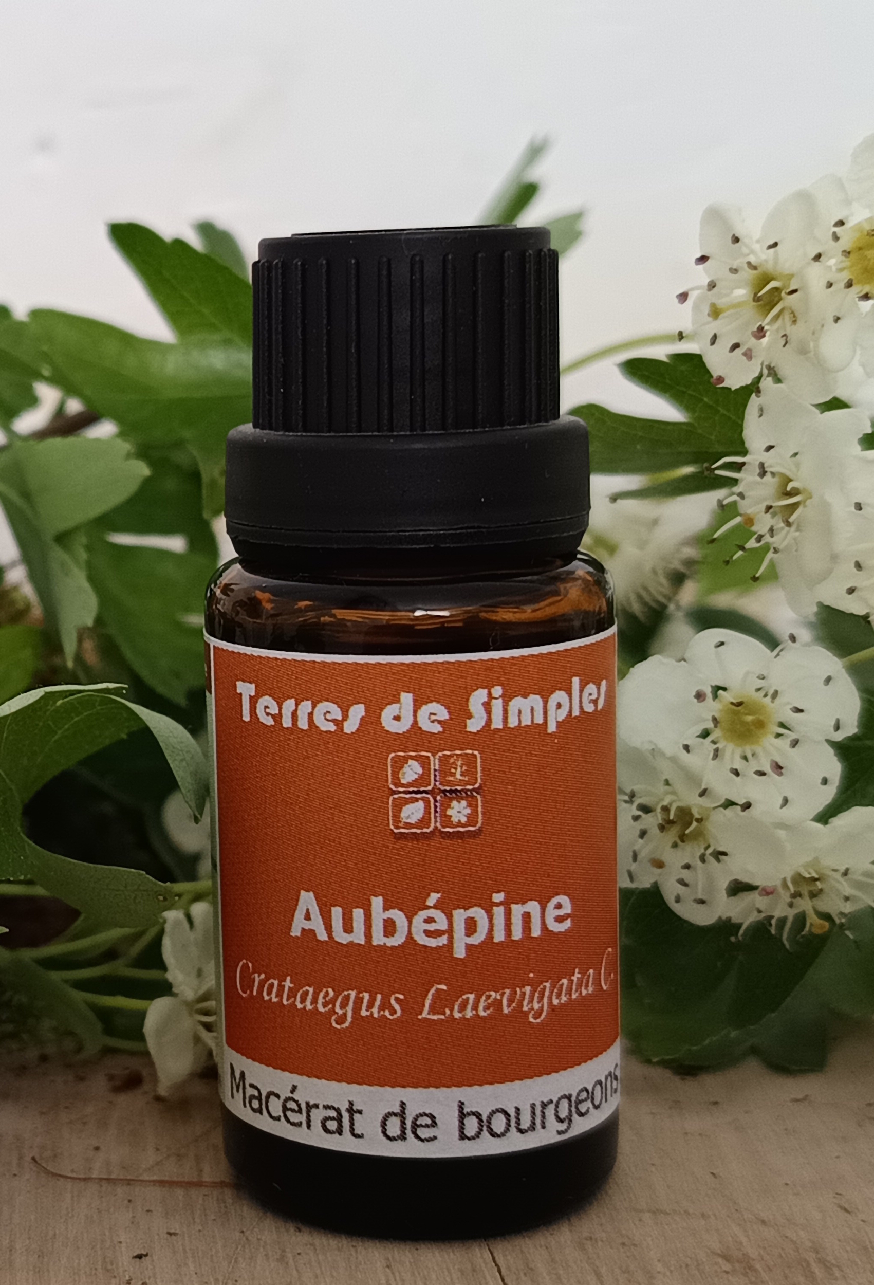 GEM1 - Gemmothérapie Aubépine 15 ml