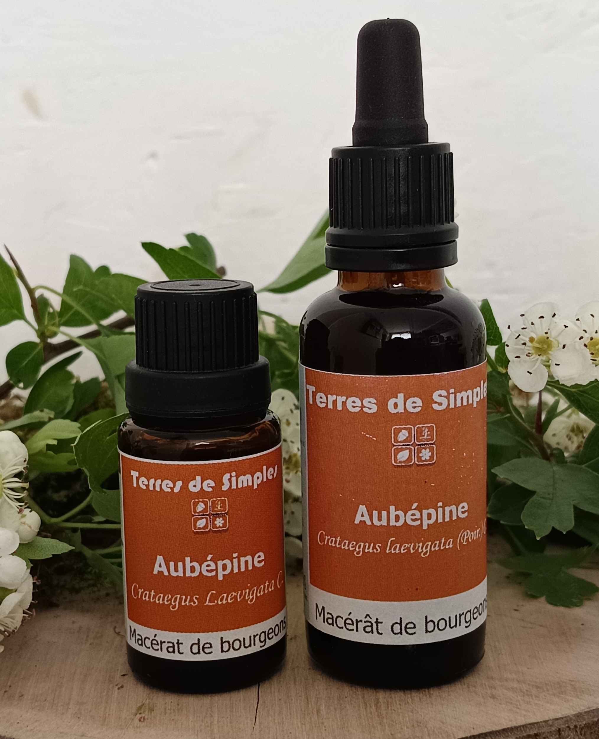 Gemmothérapie Aubépine