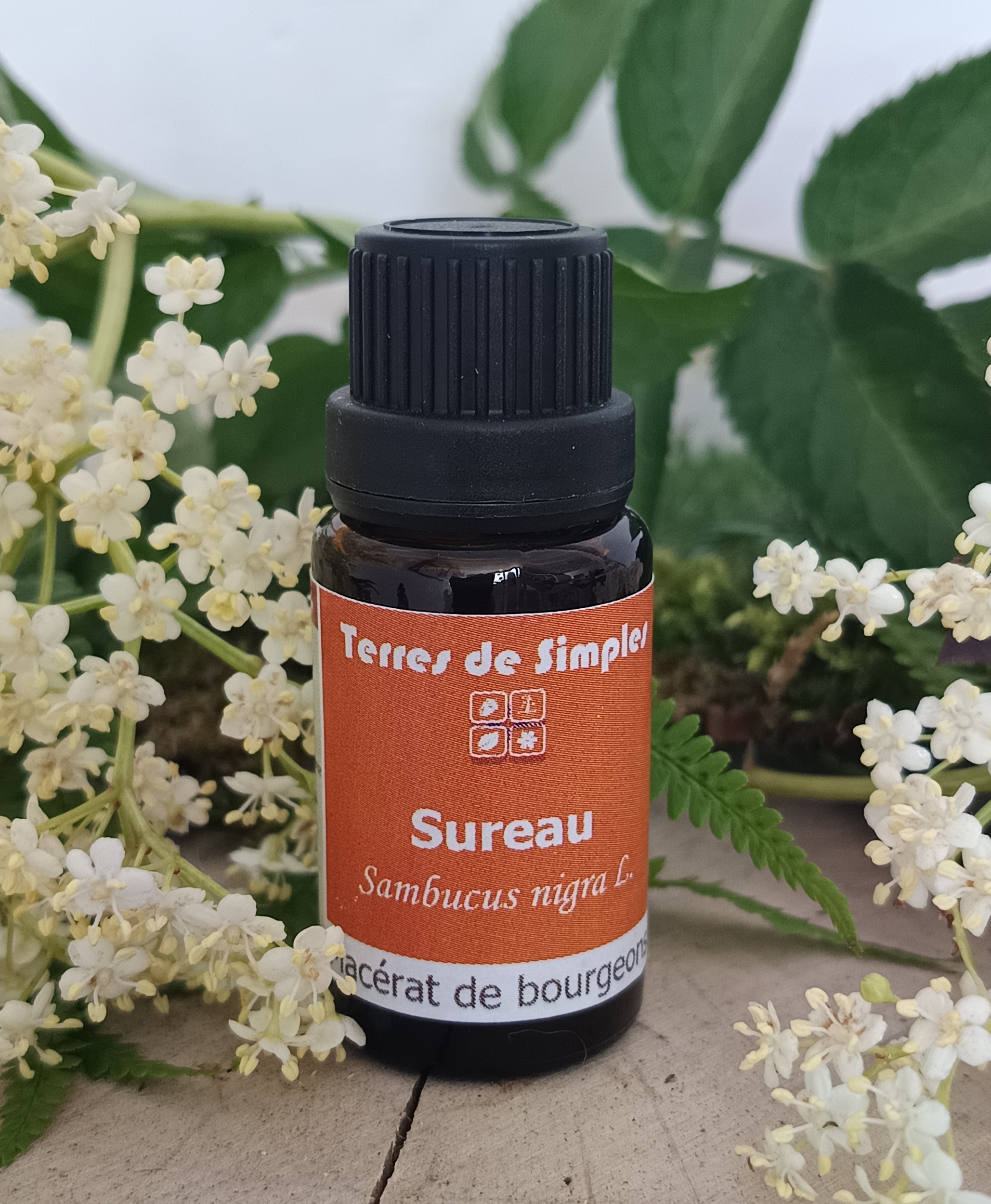 GEM26 - Gemmothérapie Sureau 15 ml
