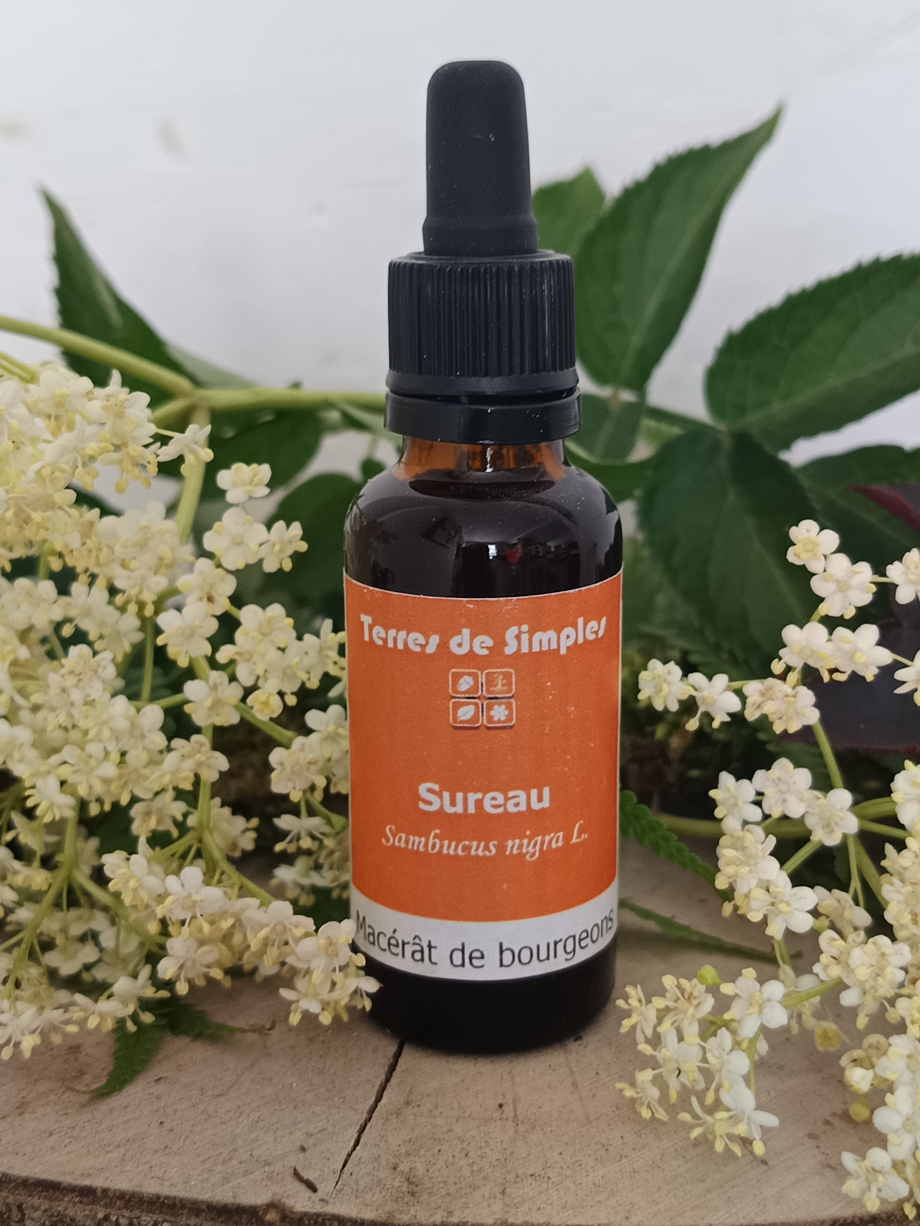 GEM74 - Gemmothérapie Sureau 30 ml