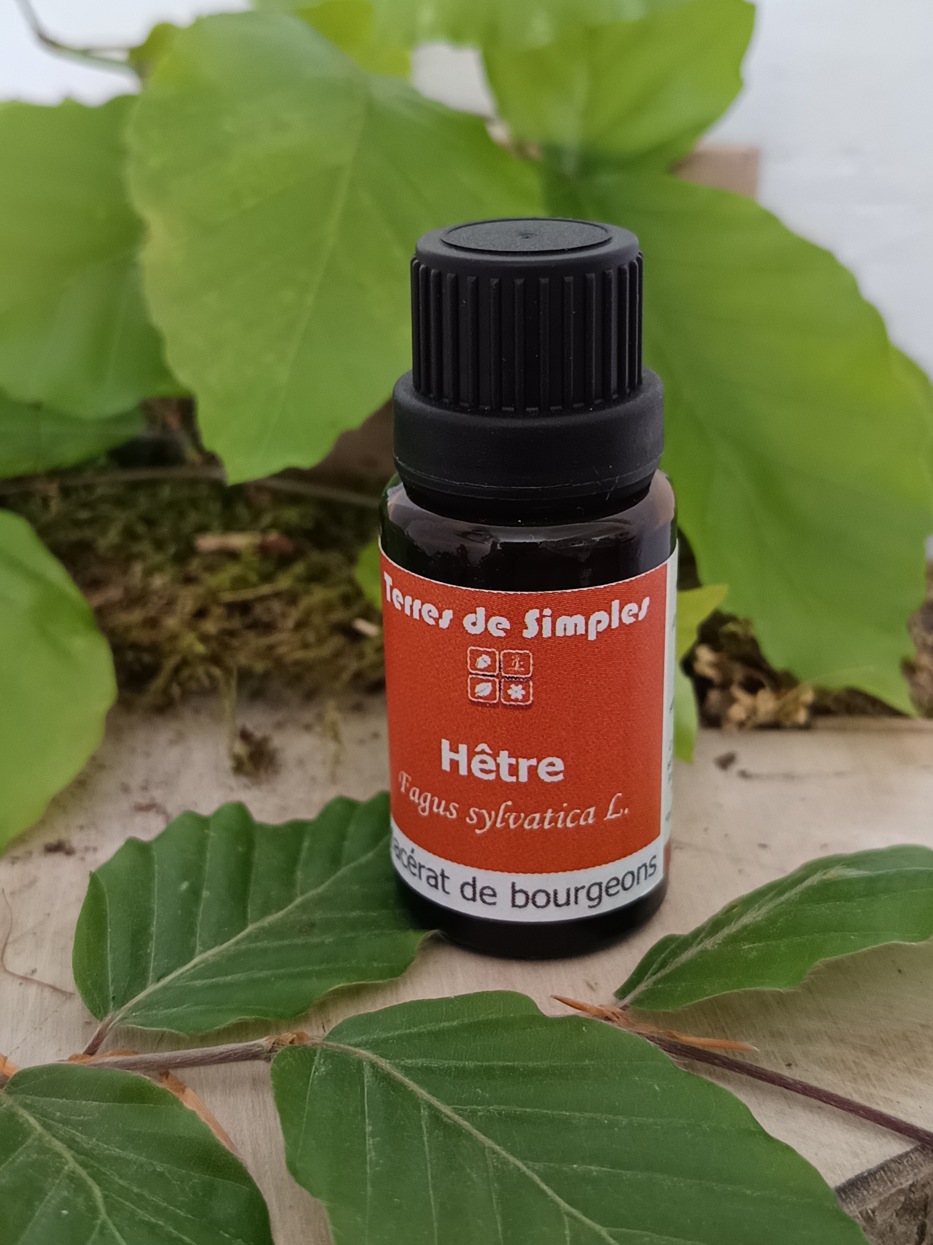 GEM13 - Gemmothérapie Hêtre 15 ml