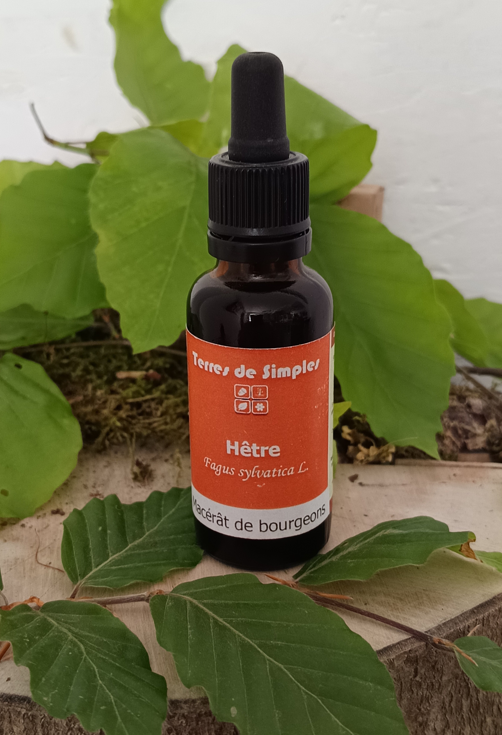 GEM48 - Gemmothérapie Hêtre 30 ml