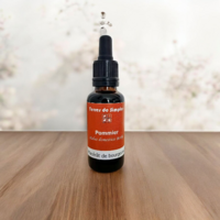 GEM64-01 - Gemmothérapie Pommier 30 ml
