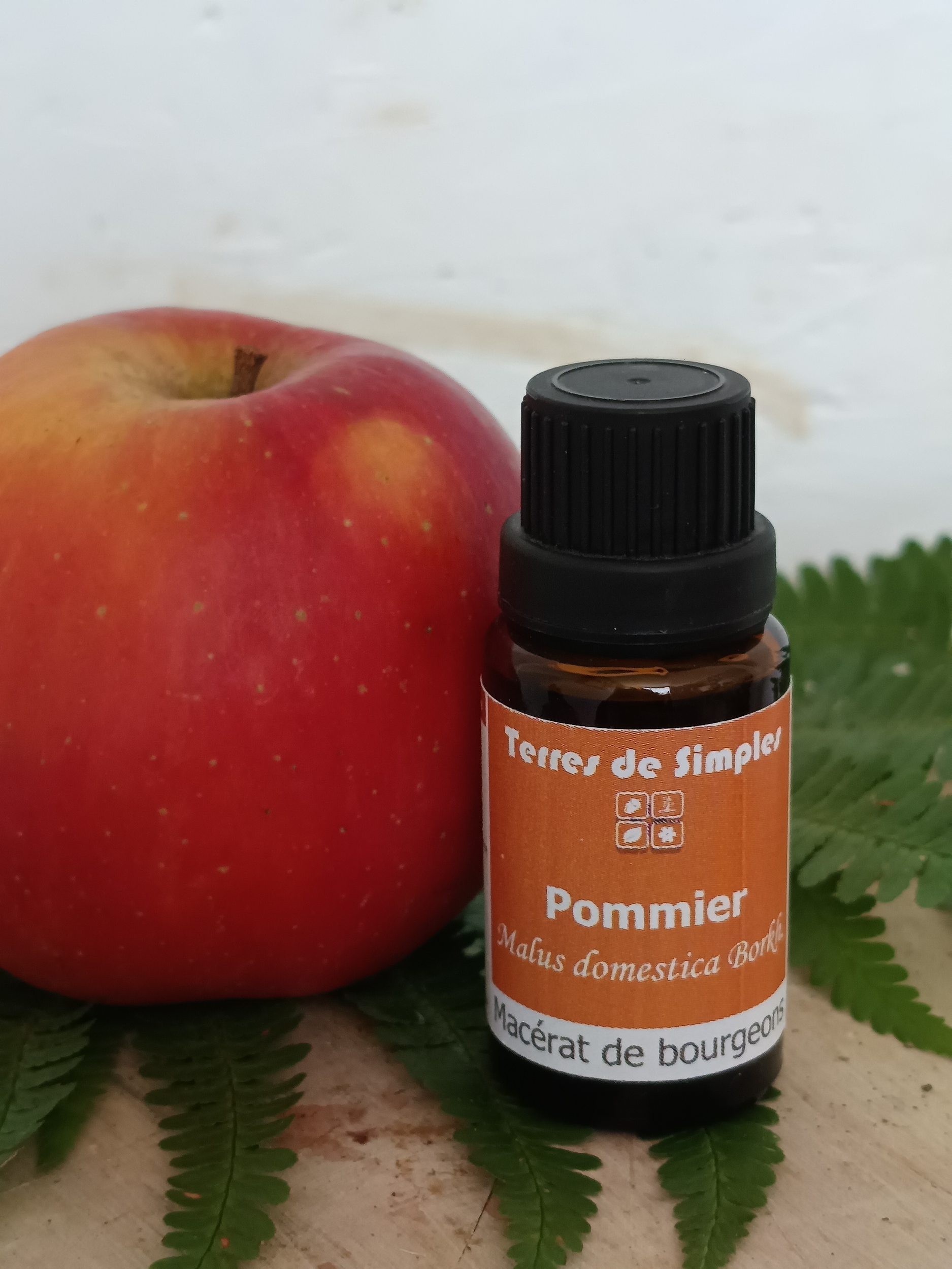 GEM22 - Gemmothérapie Pommier 15 ml