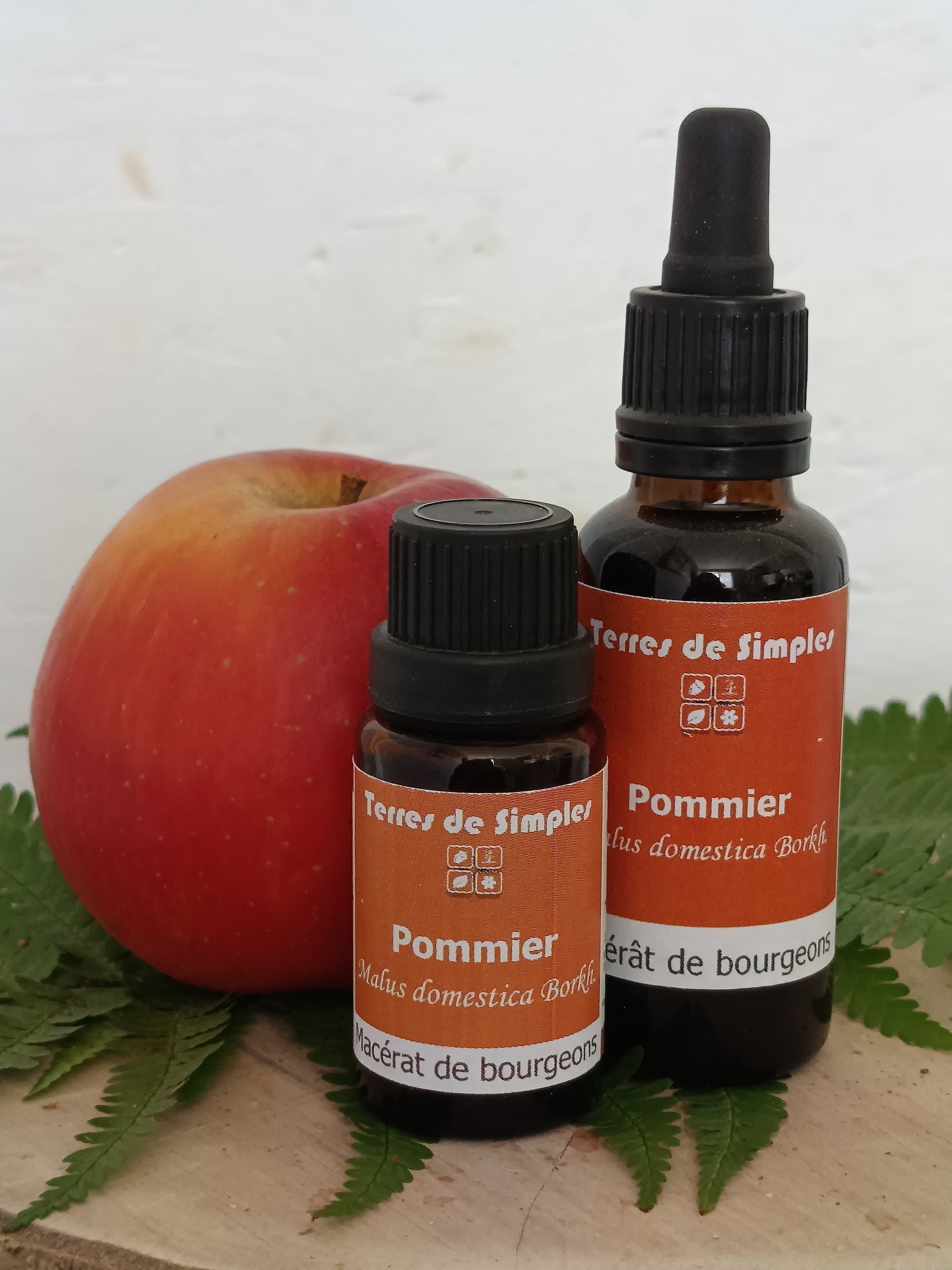 Gemmothérapie Pommier