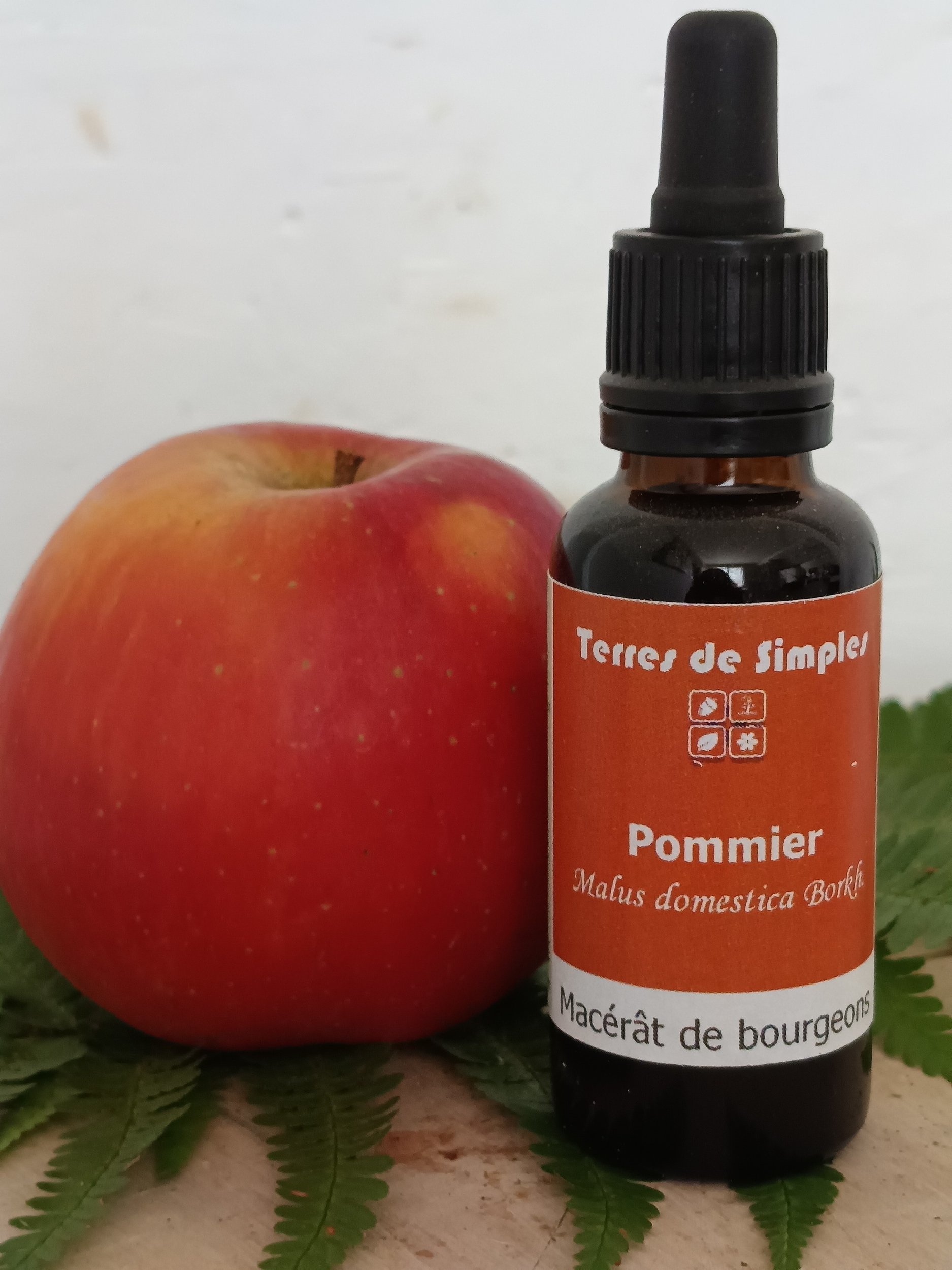 GEM64 - Gemmothérapie Pommier 30 ml