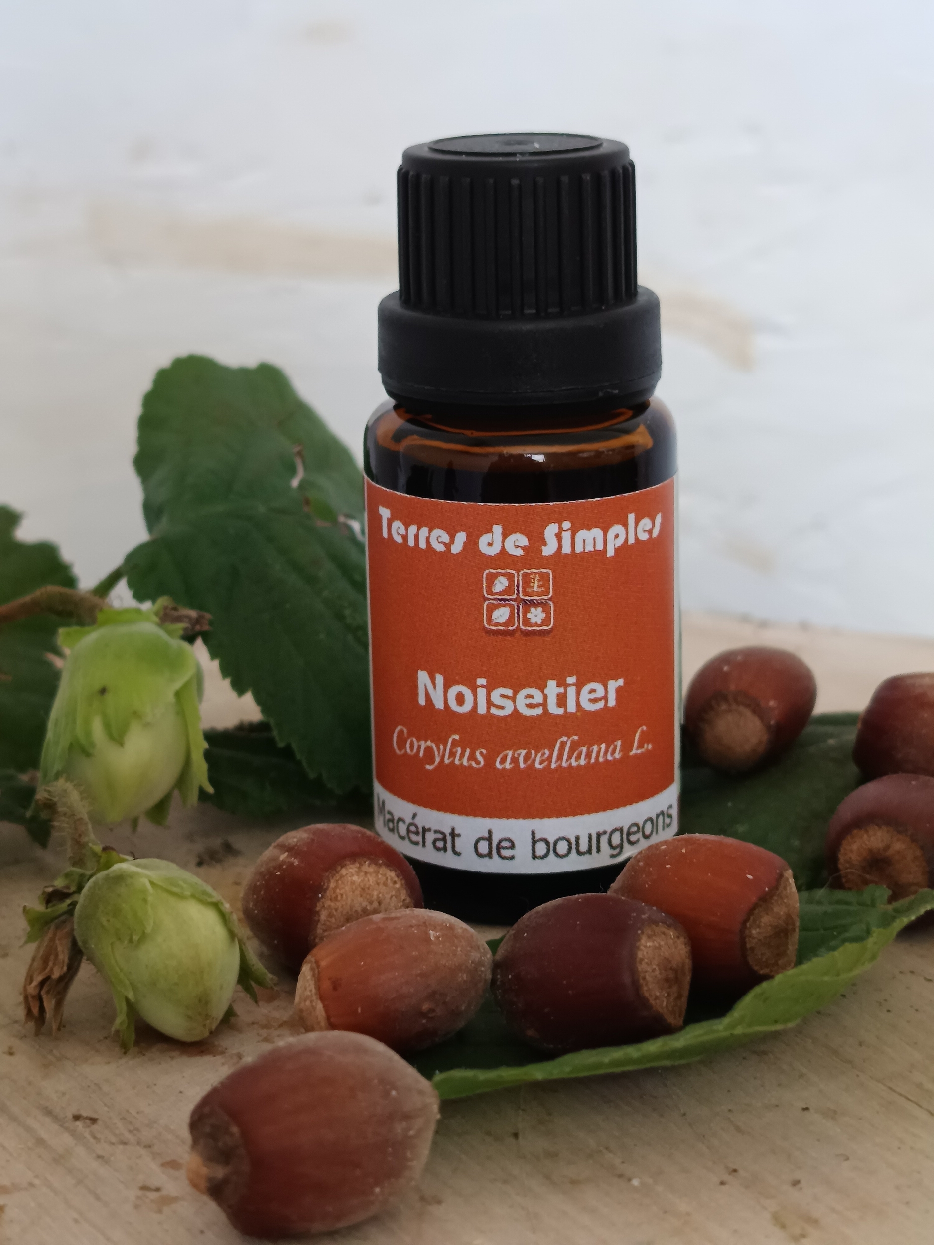 GEM17-02 - Gemmothérapie Noisetier 15 ml