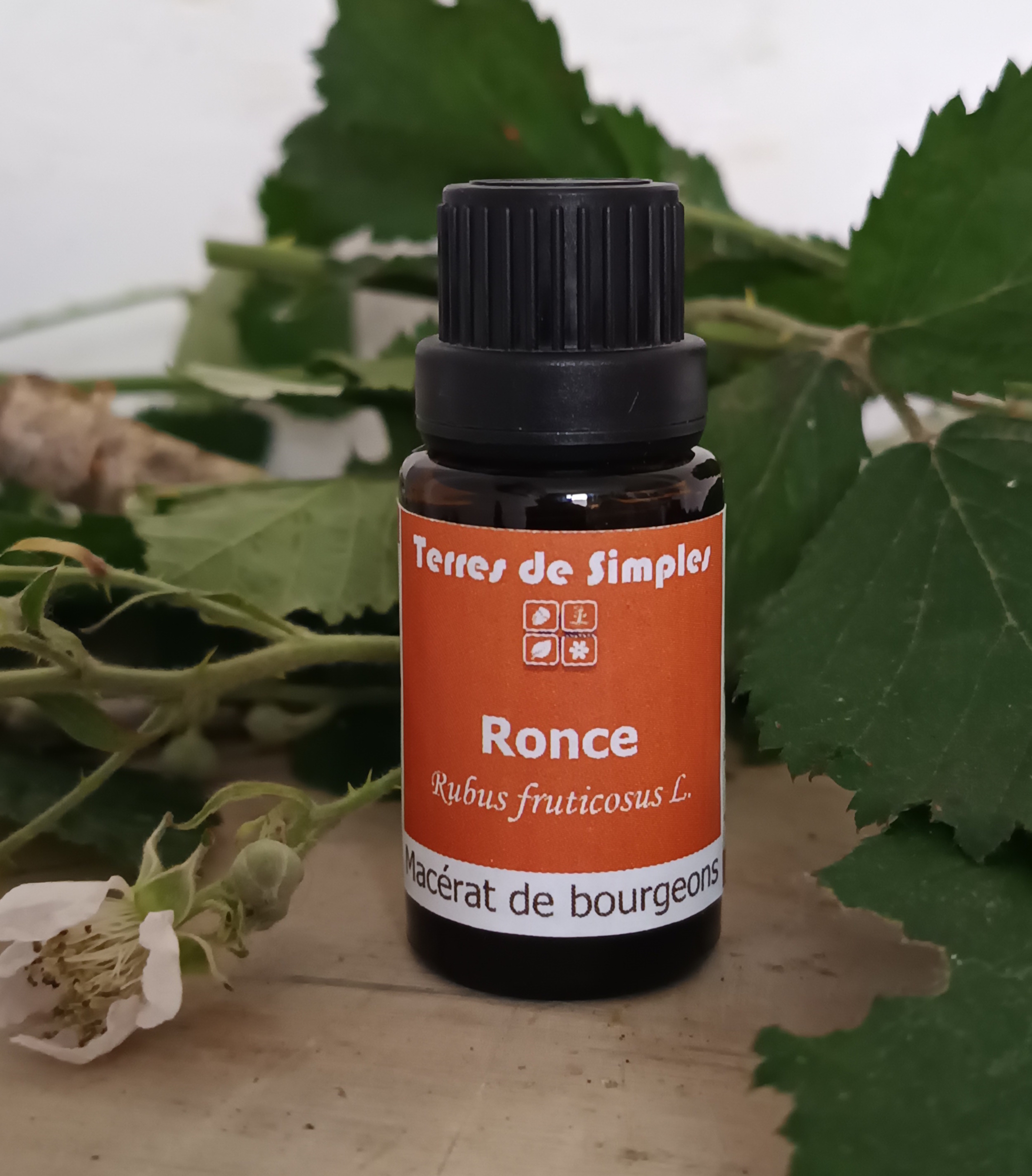 GEM24 - Gemmothérapie Ronce 15 ml