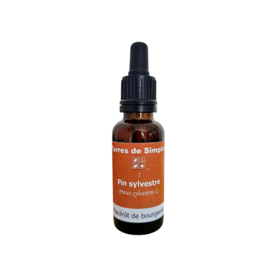 GEM61 - Gemmothérapie Pin Sylvestre 30 ml