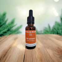 GEM61-01 - Gemmothérapie Pin Sylvestre 30 ml