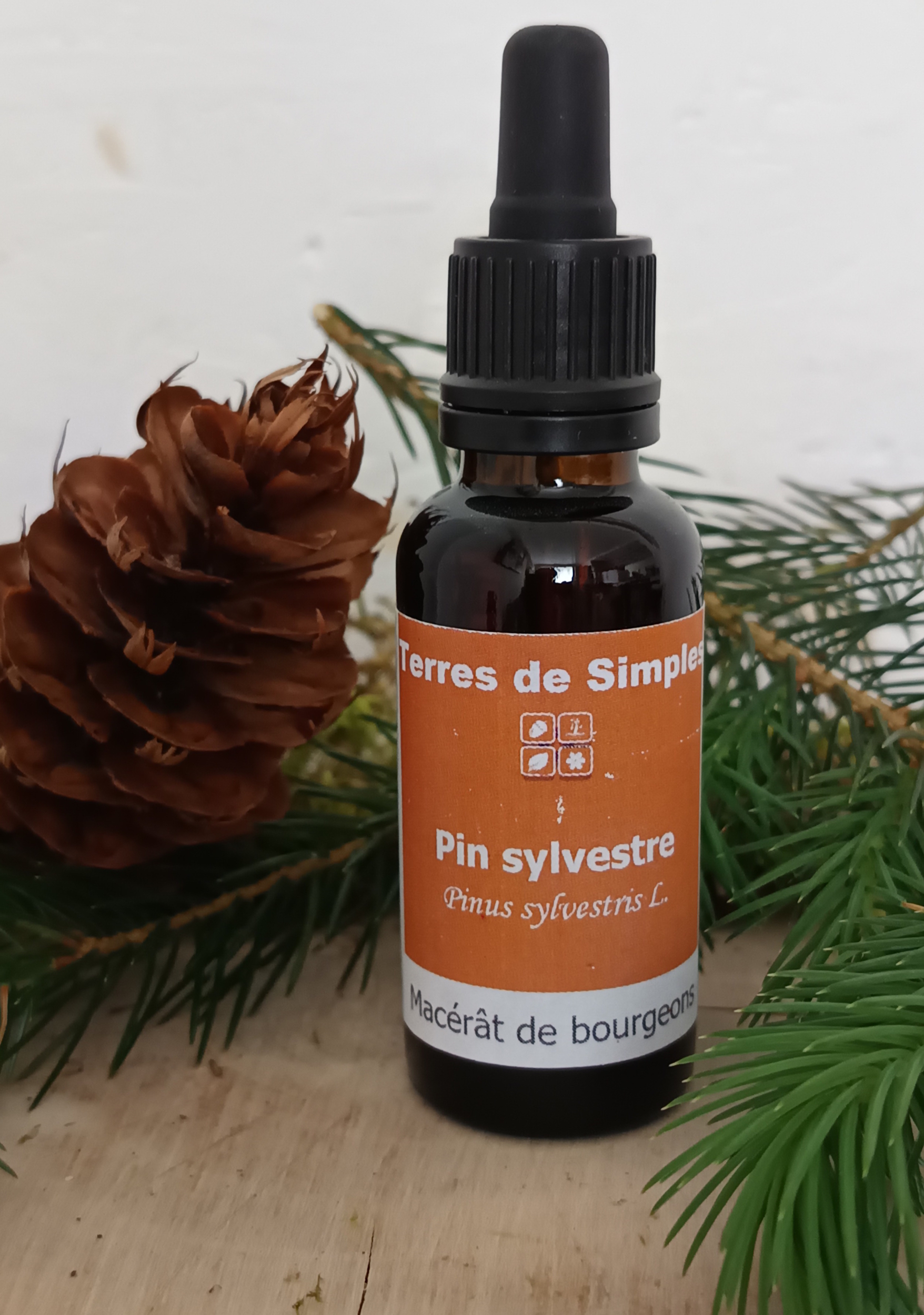 GEM61 - Gemmothérapie Pin Sylvestre 30 ml