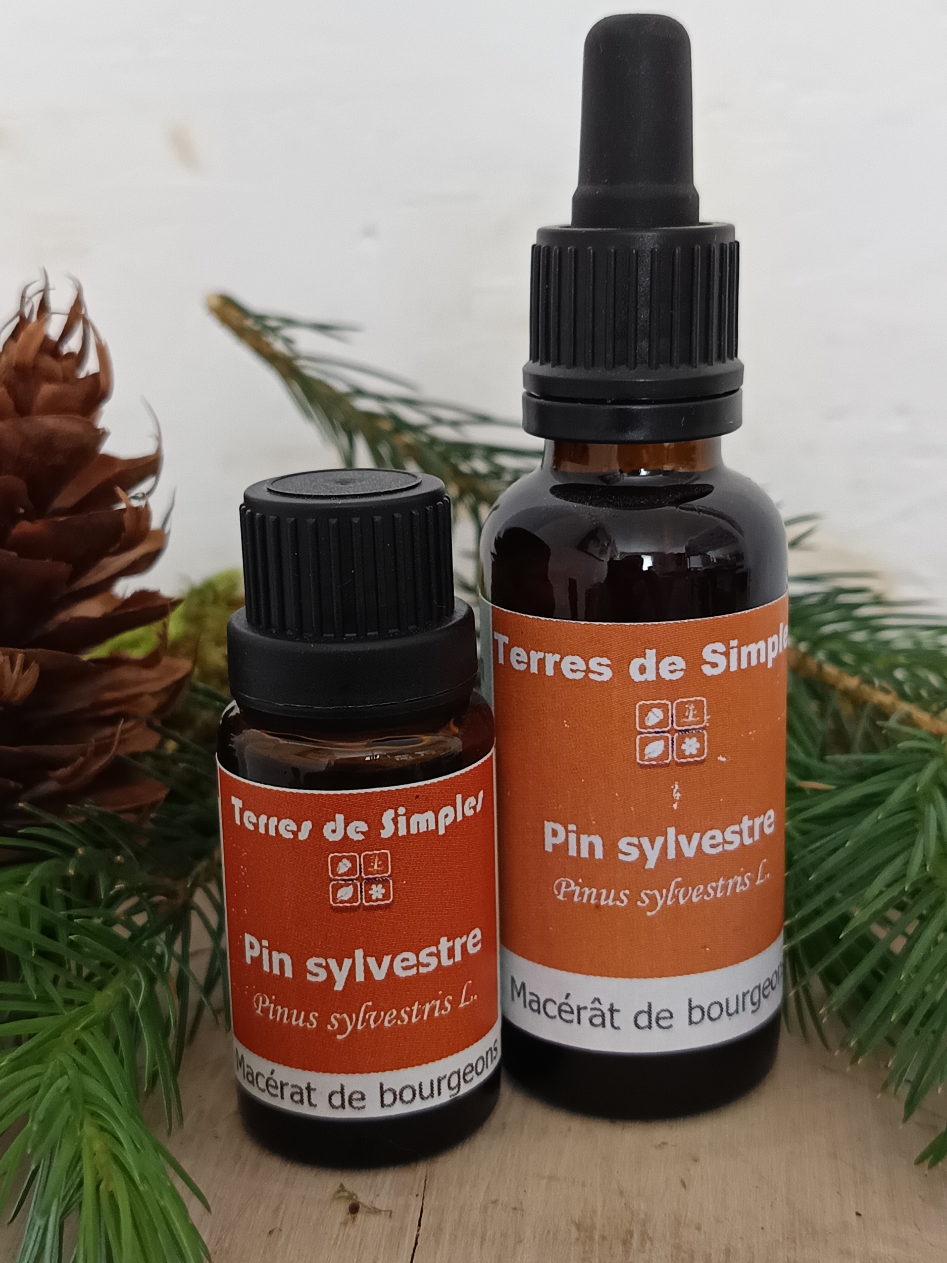 Gemmothérapie Pin Sylvestre