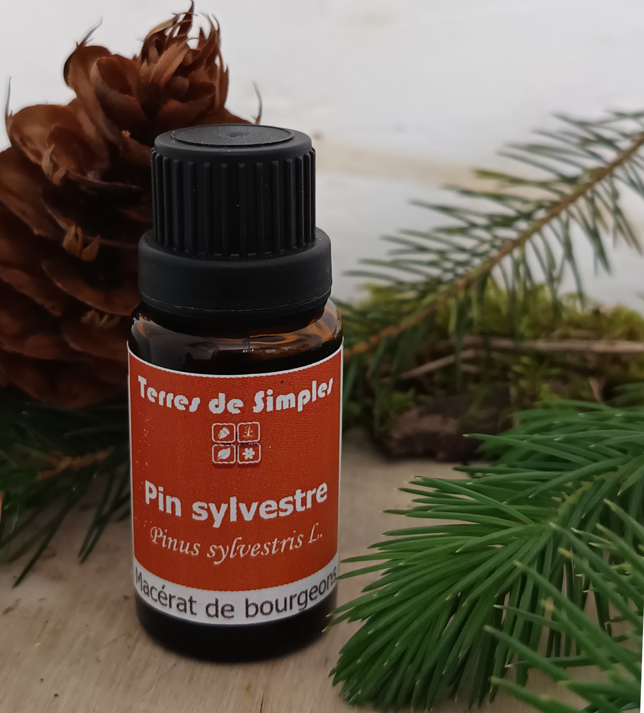 GEM21 - Gemmothérapie Pin Sylvestre 15 ml