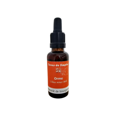 GEM58 - Gemmothérapie Orme 30 ml