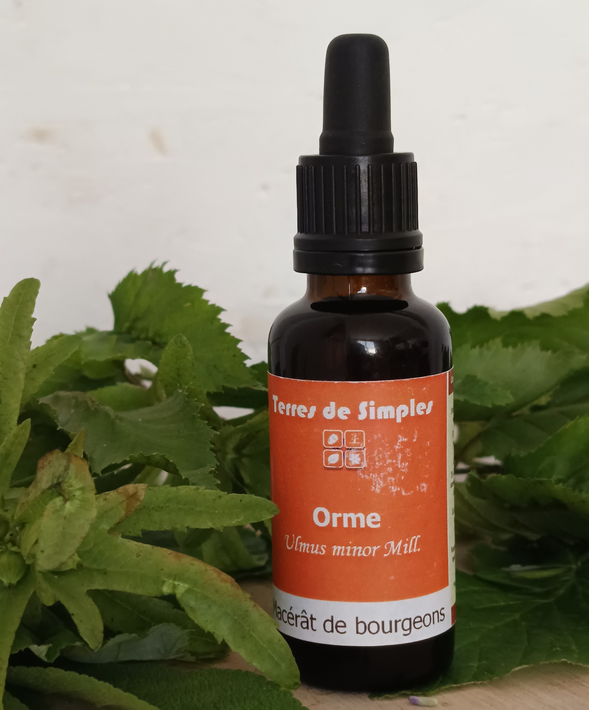 GEM58 - Gemmothérapie Orme 30 ml