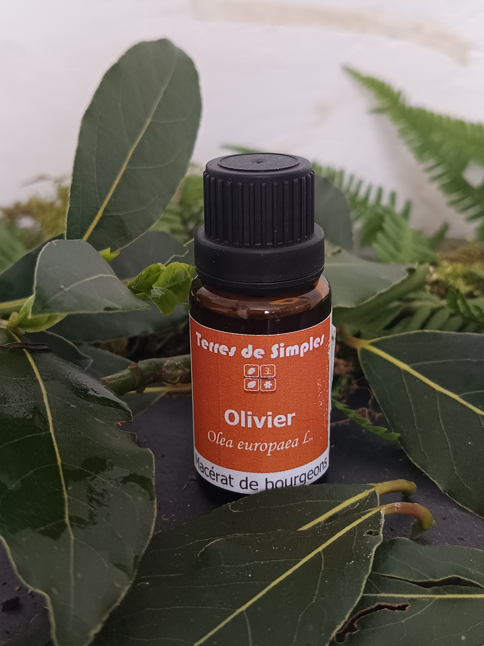 GEM19 - Gemmothérapie Olivier 15 ml