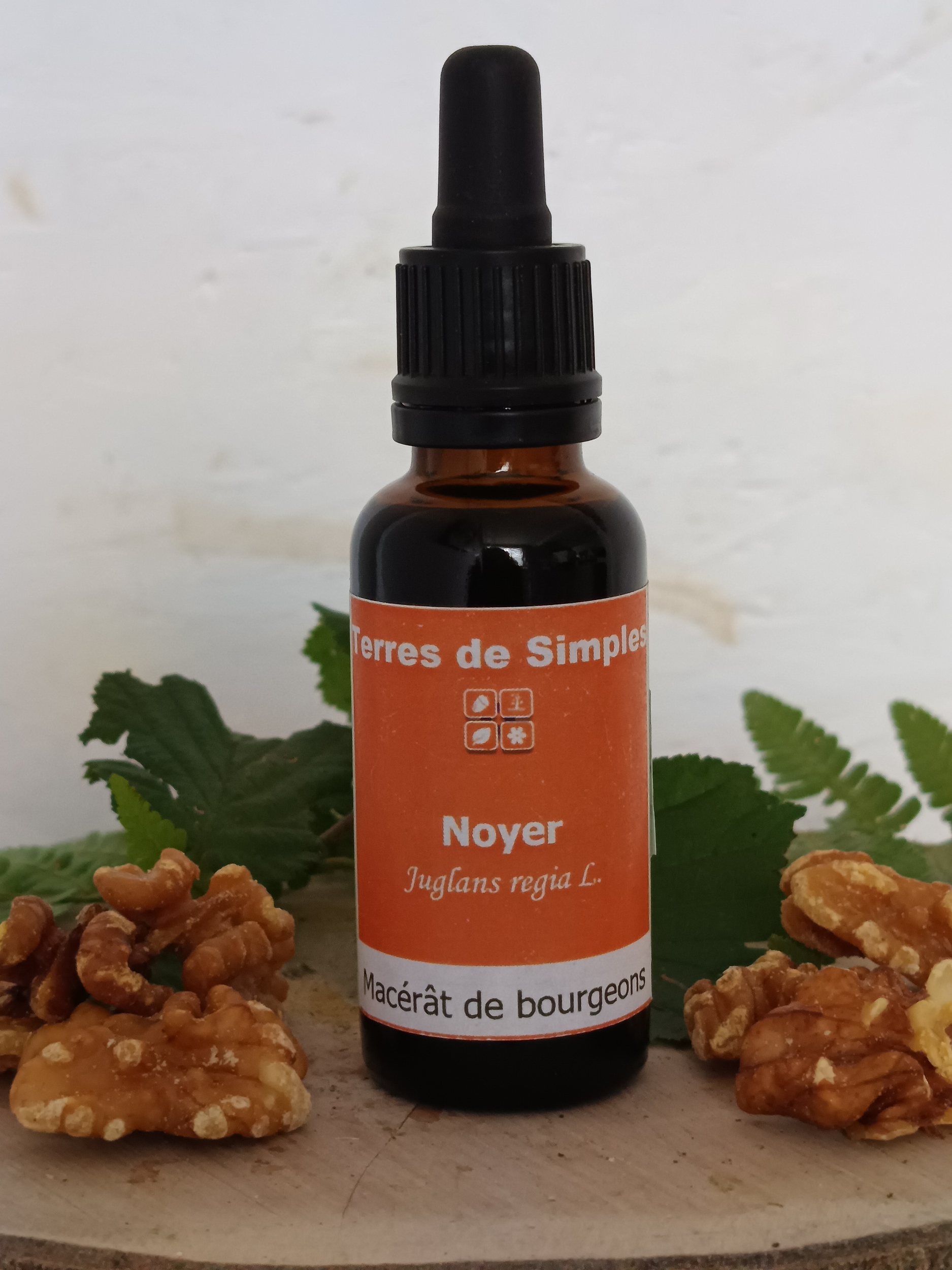GEM56 - Gemmothérapie Noyer 30 ml